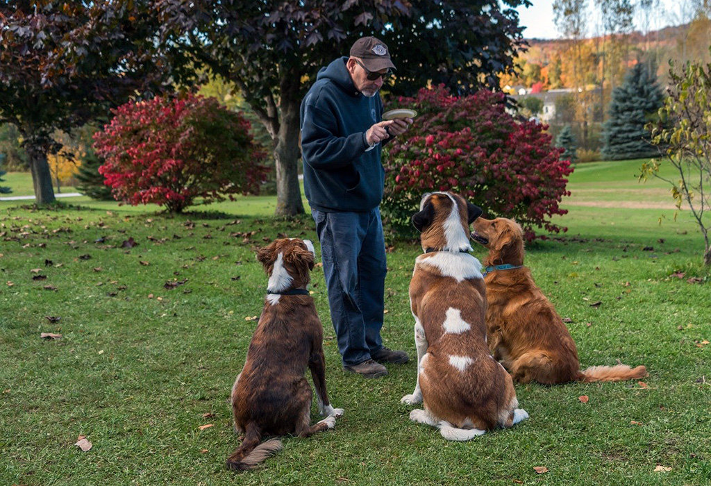 Littermate Syndrome 2 Small Pups, 1 BIG Problem (+ How To Fix It)